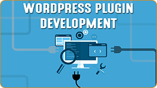 WordPress Plugin Development