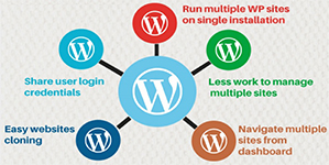 multisite